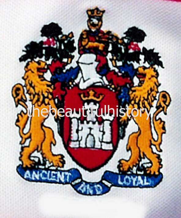 England #182 The Latics Wigan Athletic Pin / Anstecker Crest Badge 